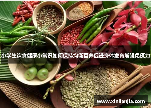 小学生饮食健康小常识如何保持均衡营养促进身体发育增强免疫力