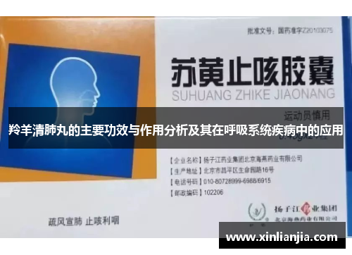 羚羊清肺丸的主要功效与作用分析及其在呼吸系统疾病中的应用 羚羊清肺丸的主要功效与作用分析及其在呼吸系统疾病中的应用