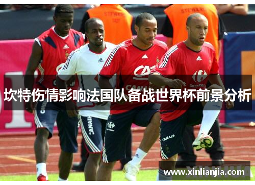 坎特伤情影响法国队备战世界杯前景分析